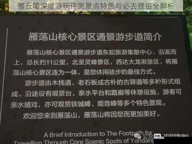 雁丘陵深度游玩评测景点特色与必去理由全解析