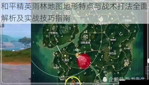 和平精英雨林地图地形特点与战术打法全面解析及实战技巧指南